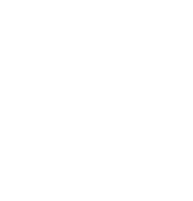 Excellent Choice Cleaning Service logo